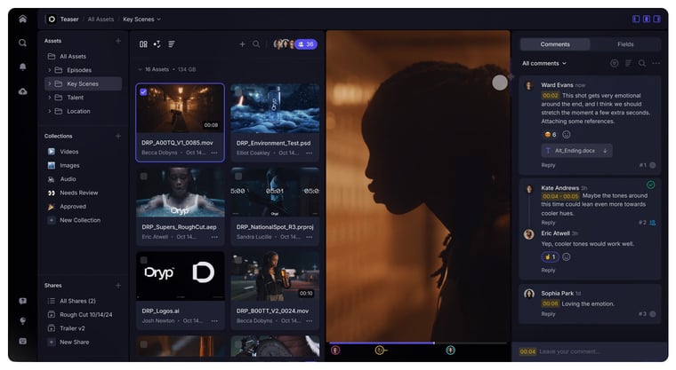 Frame.io user dashboard with comments and proofs gallery view