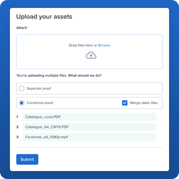 Batch review intake form example - drop files here