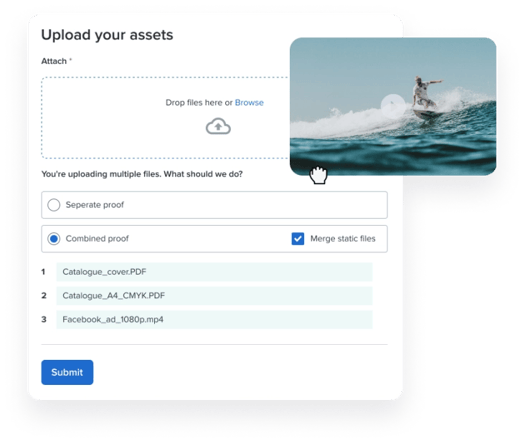New intake form input fields for formal submission process-1